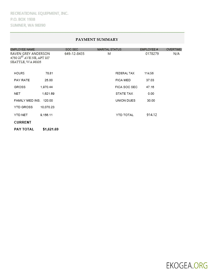 Bulletin de paie LLC d'équipement récréatif au format PDF et WORD